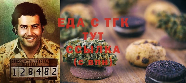 индика Вяземский